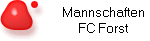 Mannschaften
FC Forst